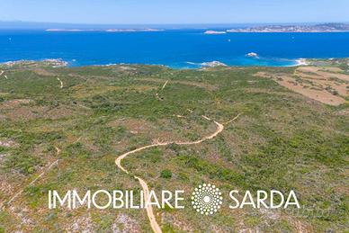 Terreno Agricolo - Santa Teresa Gallura