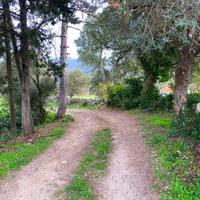 Stazzo - Luras Rif: 1088-250