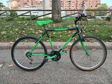 Mountain Bike Vintage