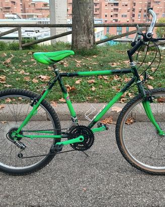 Mountain Bike Vintage