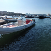 Gommone Pirelli 880
