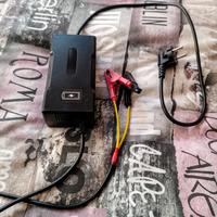 Carica Batteria lifepo4 