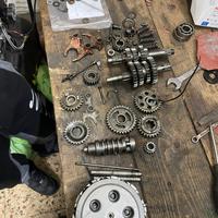 Cambio e frizione Tm 125
