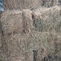 ballette rettangolari di fieno