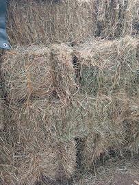 ballette rettangolari di fieno