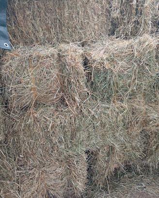 ballette rettangolari di fieno