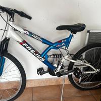 Bicicletta 24