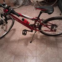 Bici Tecnobike 324