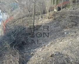 Terreno Edificabile - Borgo Valsugana