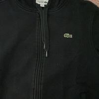 Felpa lacoste