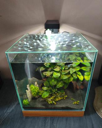 acquario cubo