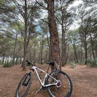 Mtb olympia 27,5