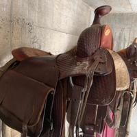 selle da monta americana 