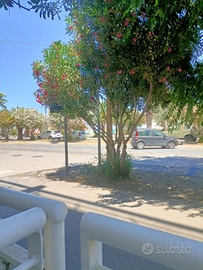 PASQUA 2025 E 25 APRILE San Benedetto Marche