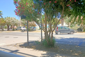 PASQUA 2025 E 25 APRILE San Benedetto Marche