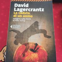 La caduta di un uomo