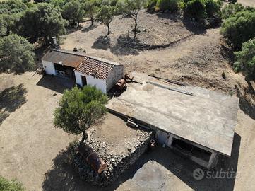 Compendio agricolo con laghetti e fabbricati 11ha