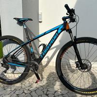 Mtb tornado ribot n