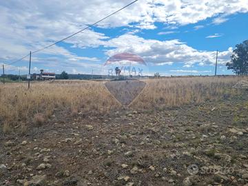 Terreno Edificabile - Carlentini
