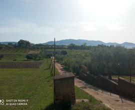 Casale con terreno agricolo 17000mq