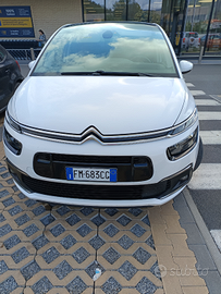 C4picasso