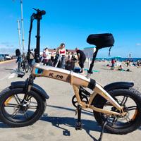 Bici pedalata assistita Fat Bike Icon-e X7 Cross
