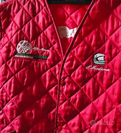 Smanicato Alfa Romeo, Stefano Modena Vintage