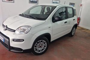 Fiat Panda 1.0 FireFly S&S Hybrid 40€