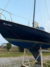 Barca a vela boxer 24