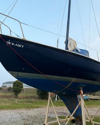 Barca a vela boxer 24
