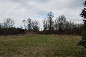 Terreno Edificabile di 15000 mq. Legnago