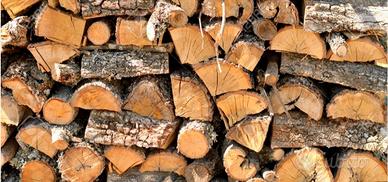 Legna da ardere