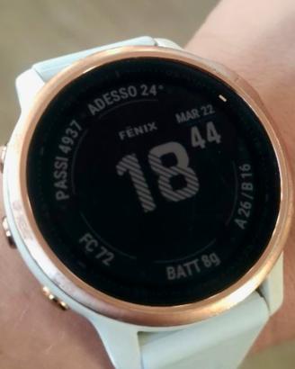 GARMIN FENIX 6S PRO 