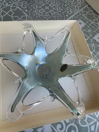 Ciotola Vetro Murano Starfish Bowl Stella Marina