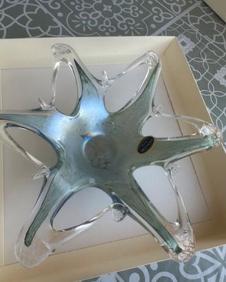Ciotola Vetro Murano Starfish Bowl Stella Marina