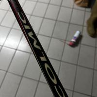 Canna da bolognese 5mt telescopica