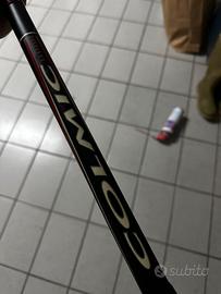 Canna da bolognese 5mt telescopica