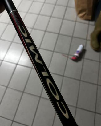 Canna da bolognese 5mt telescopica