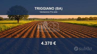 Immobile in asta di 3637 m² a Triggiano