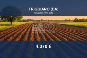 Immobile in asta di 3637 m² a Triggiano