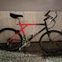 bicicletta mtb da uomo bianchi