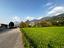 Immagine 16