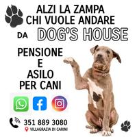 PENSIONE E ASILO PER CANI
