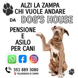PENSIONE E ASILO PER CANI
