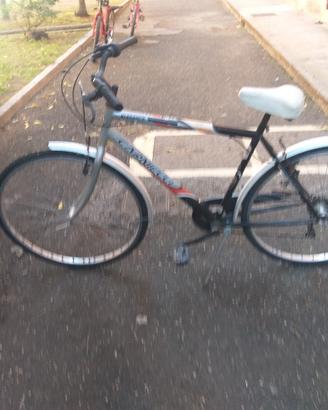 Bicicletta Uomo 