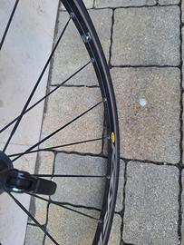 cerchi bici da corsa 10 v