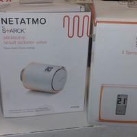 Termostato netatmo + 2 valvole