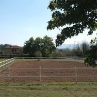 Privato affitta piccolo centro equestre familiare