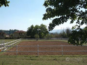 Privato affitta piccolo centro equestre familiare