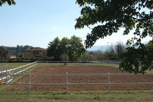 Privato affitta piccolo centro equestre familiare